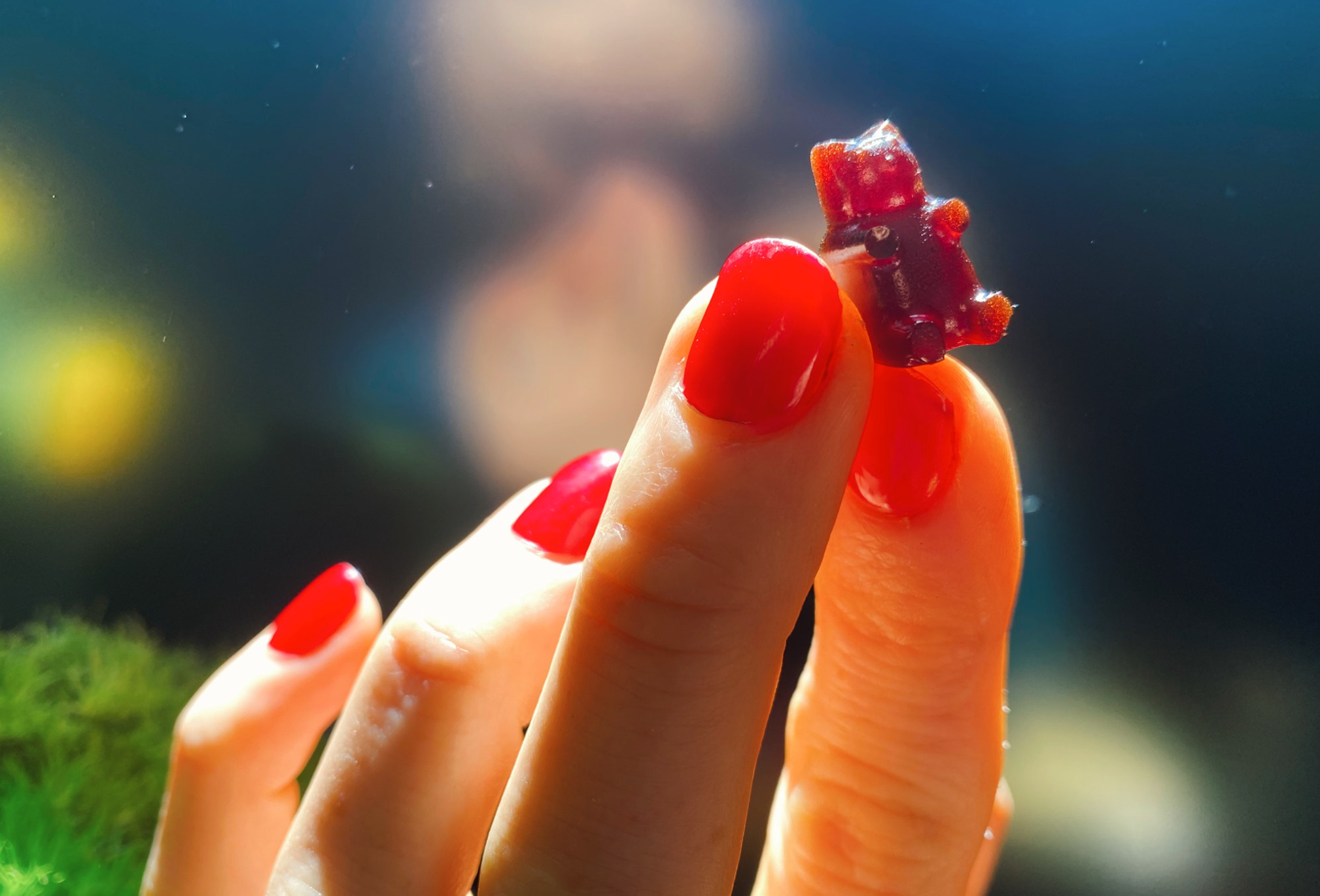Elderberry Gummies