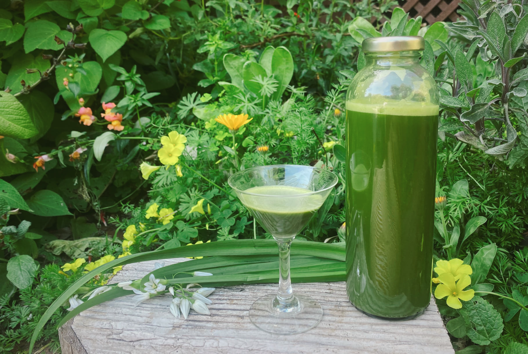 Wild Greens Fire Cider