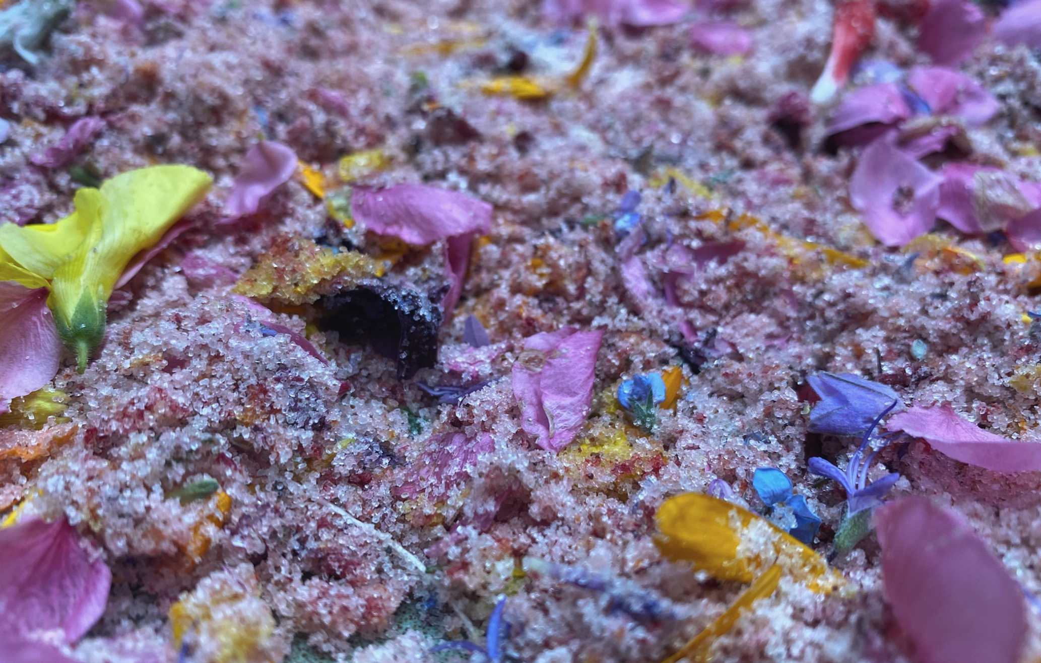Eternal Spring: Floral Salt