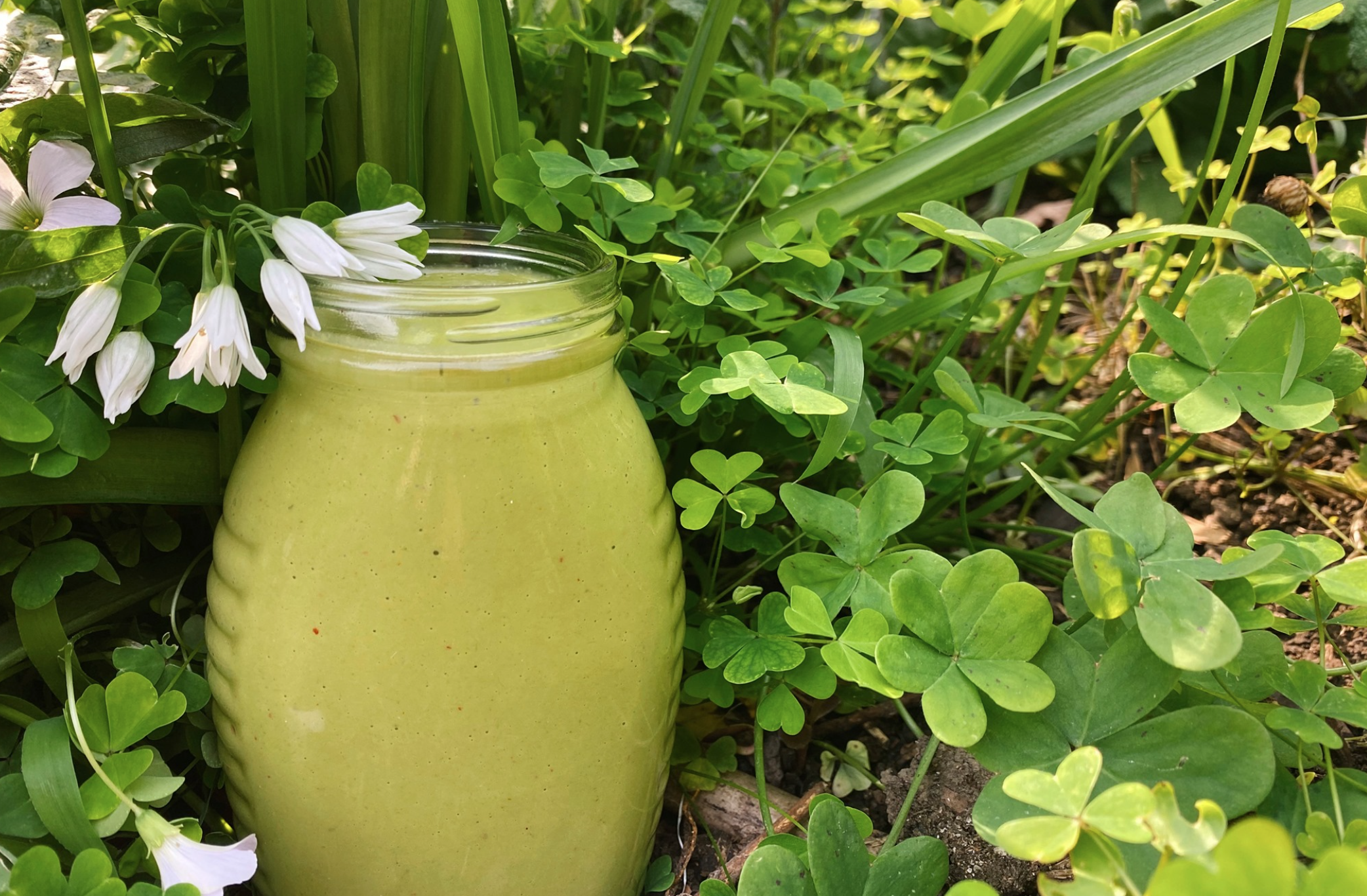 Probiotic Wild Greens Salsa-Verde
