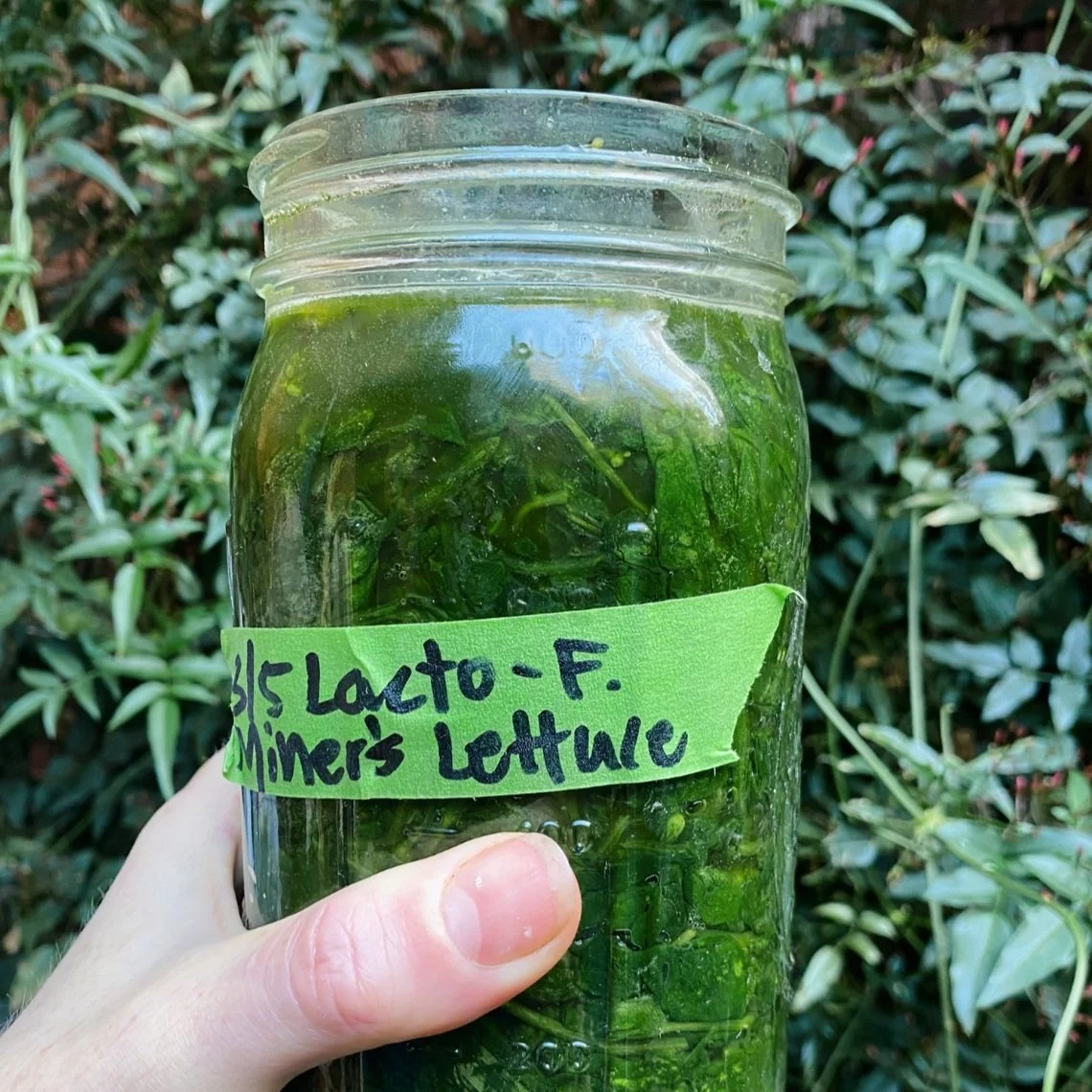 Screenshot 2025-02-12 at 1.37.35 PM.jpg