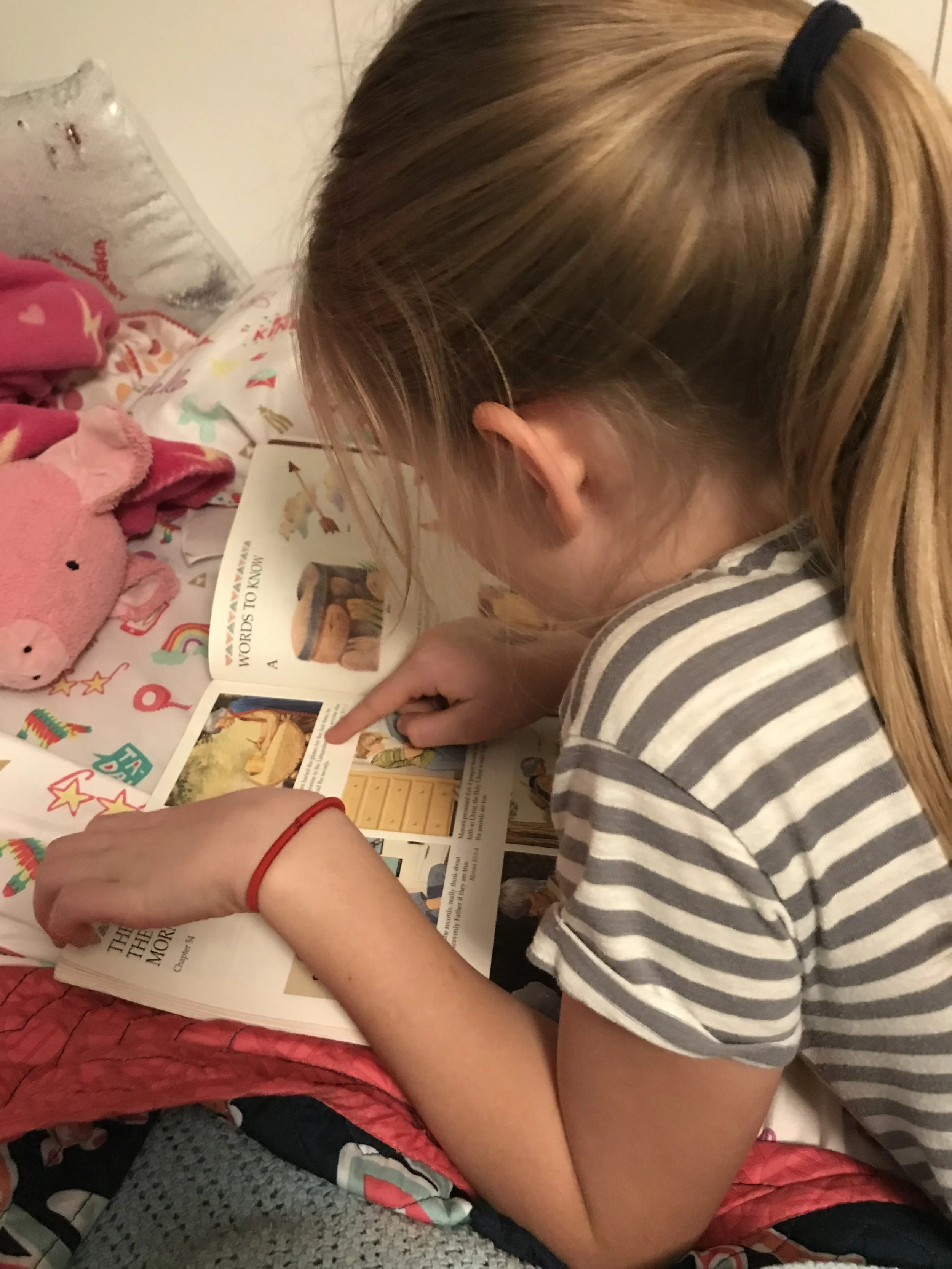 A Sweet Gift from President Nelson's Book of Mormon Challenge