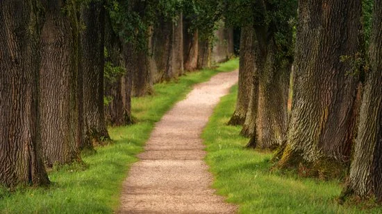 just show me the way.jpg