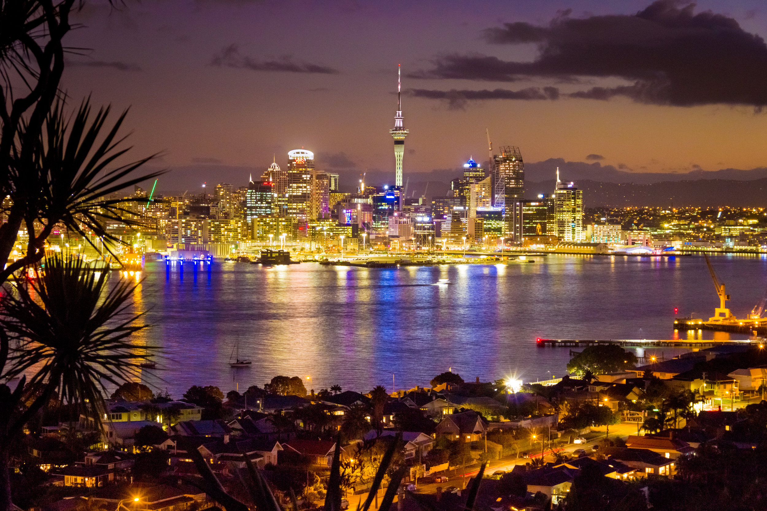 Auckland from Mt Victoria