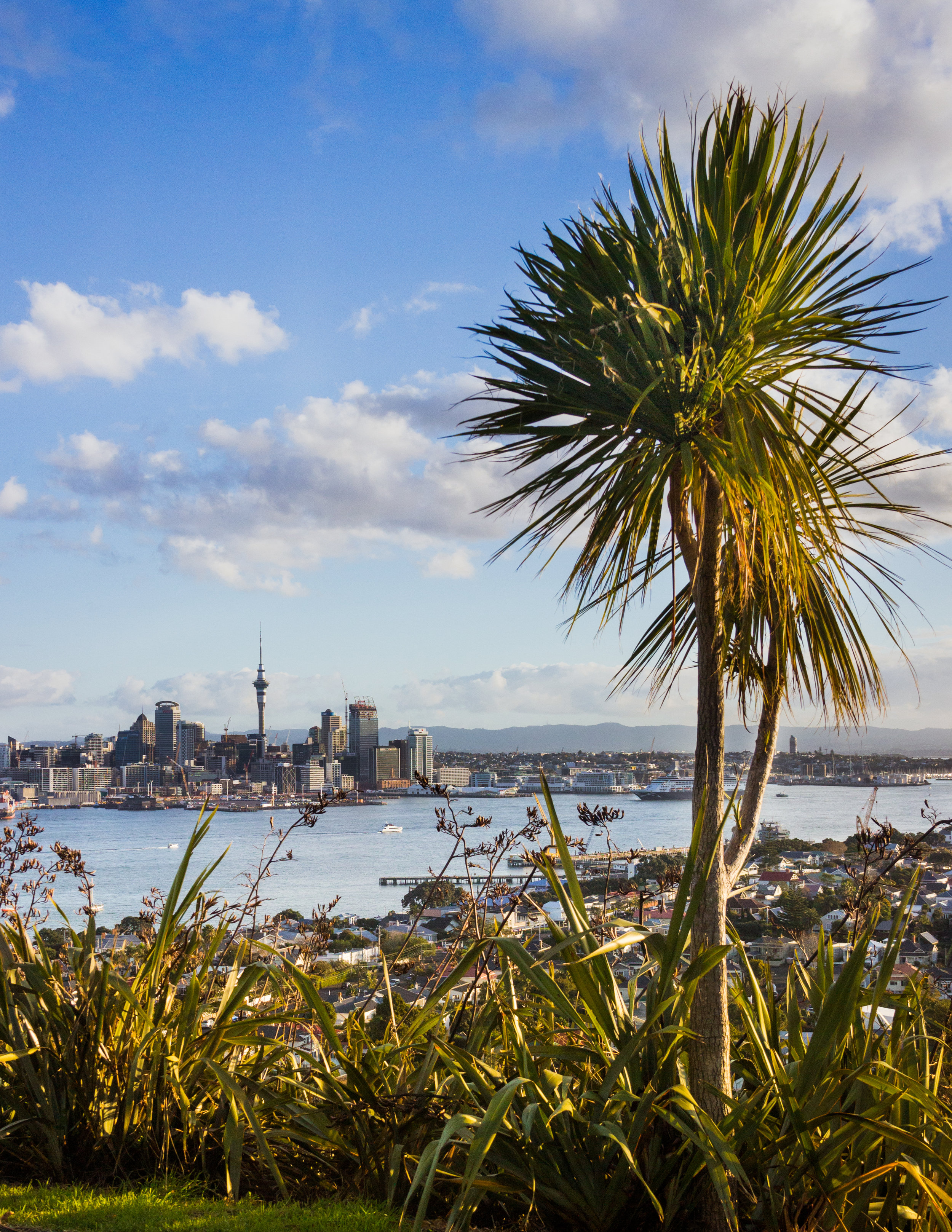 Mt Victoria's view of Auckland