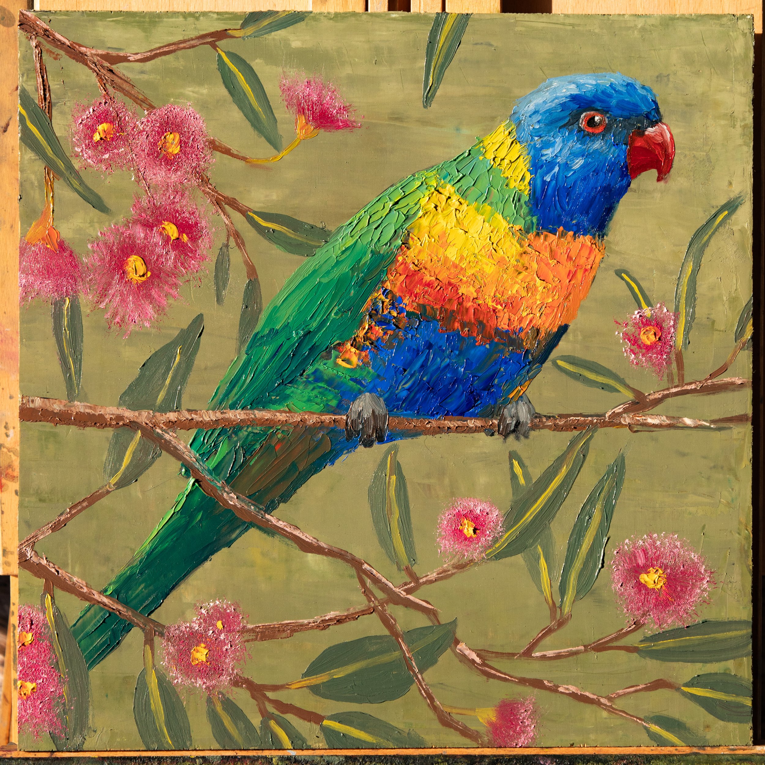 Rainbow Lorikeet