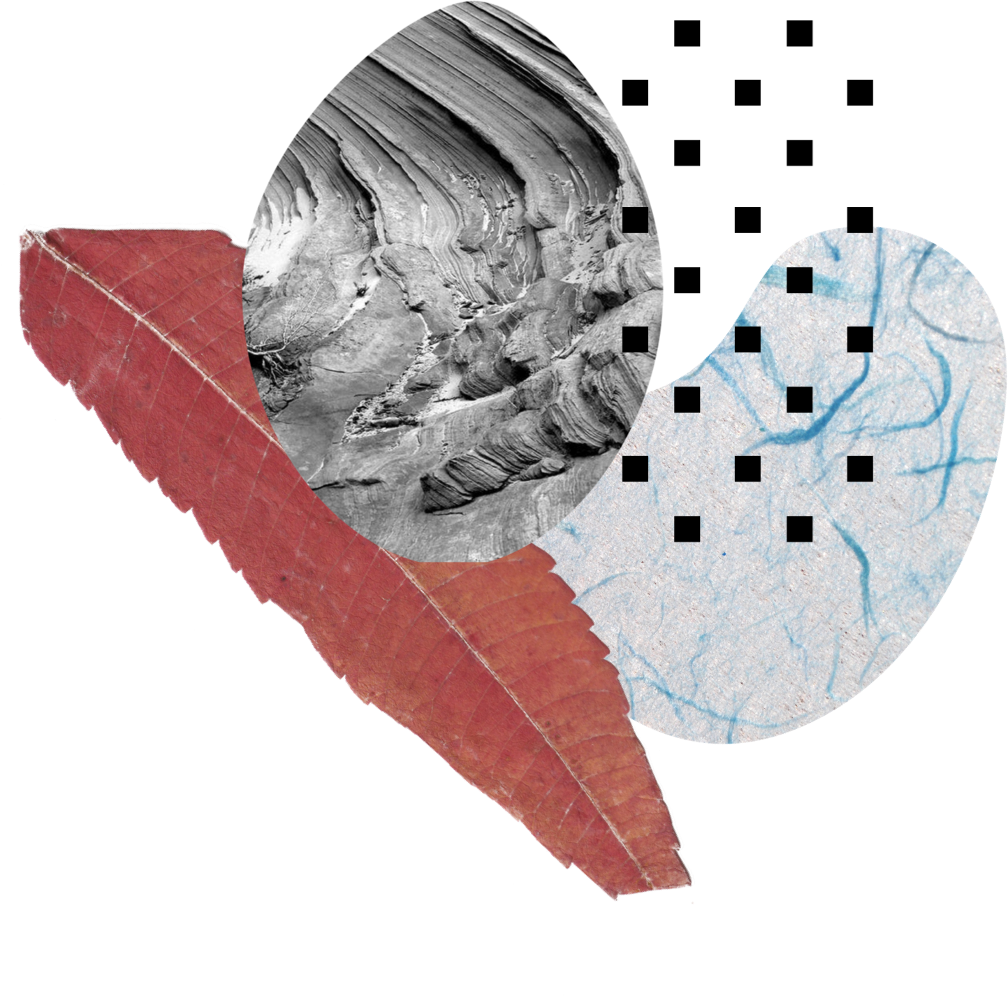 ConGraphic1-08-06.png