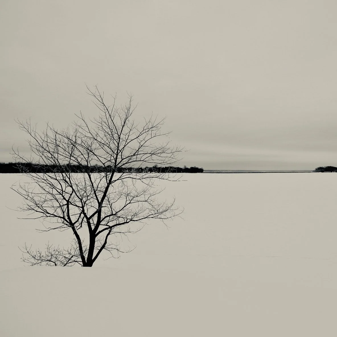 Let It Go from Frozen arranged by Kelvin Thomson Grade 1 ABRSM 2025 - 2026