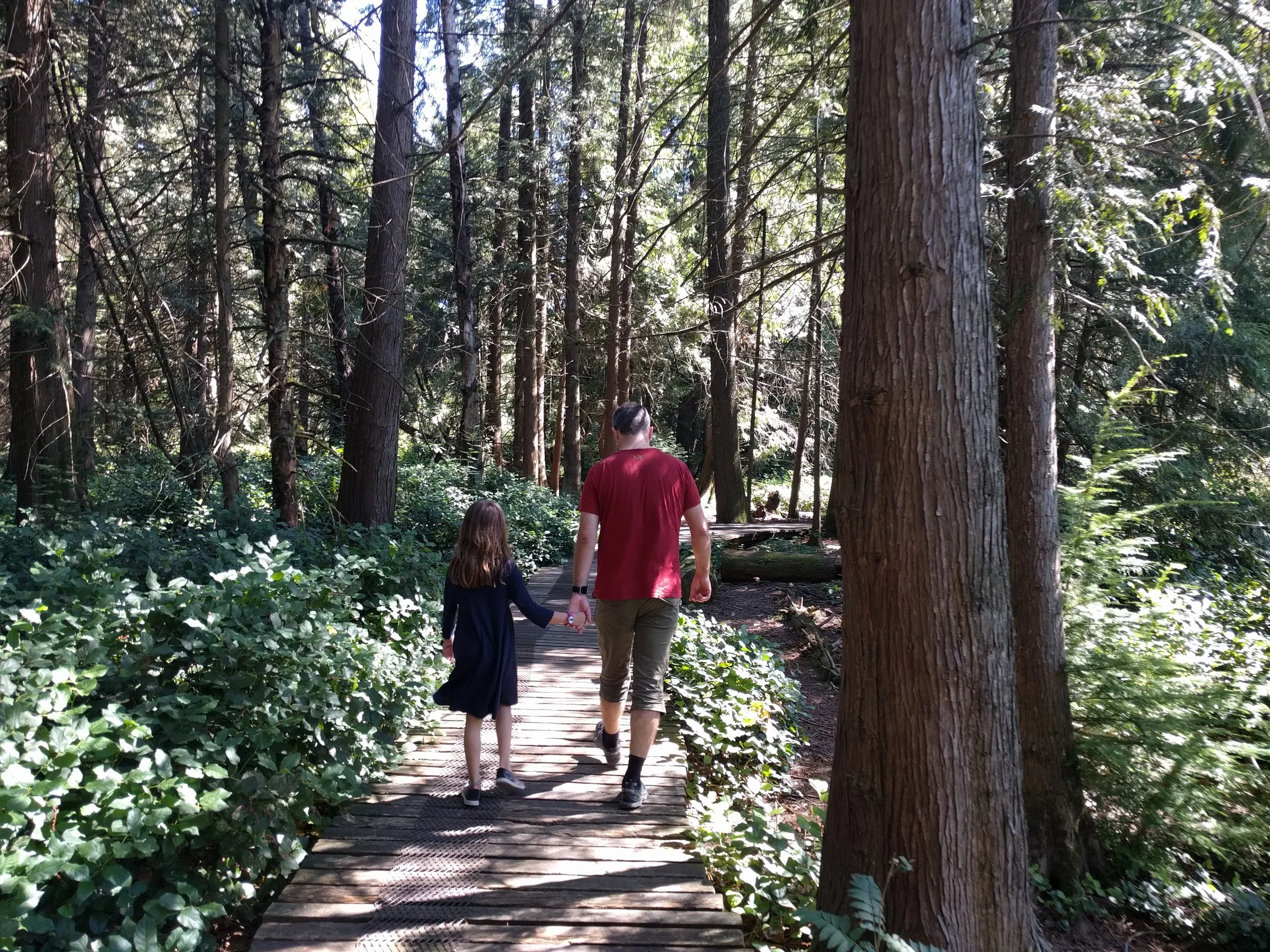 Remember Me (Lullaby) from Coco arranged by Alexander L'Estrange Grade 1 ABRSM 2025 - 2026