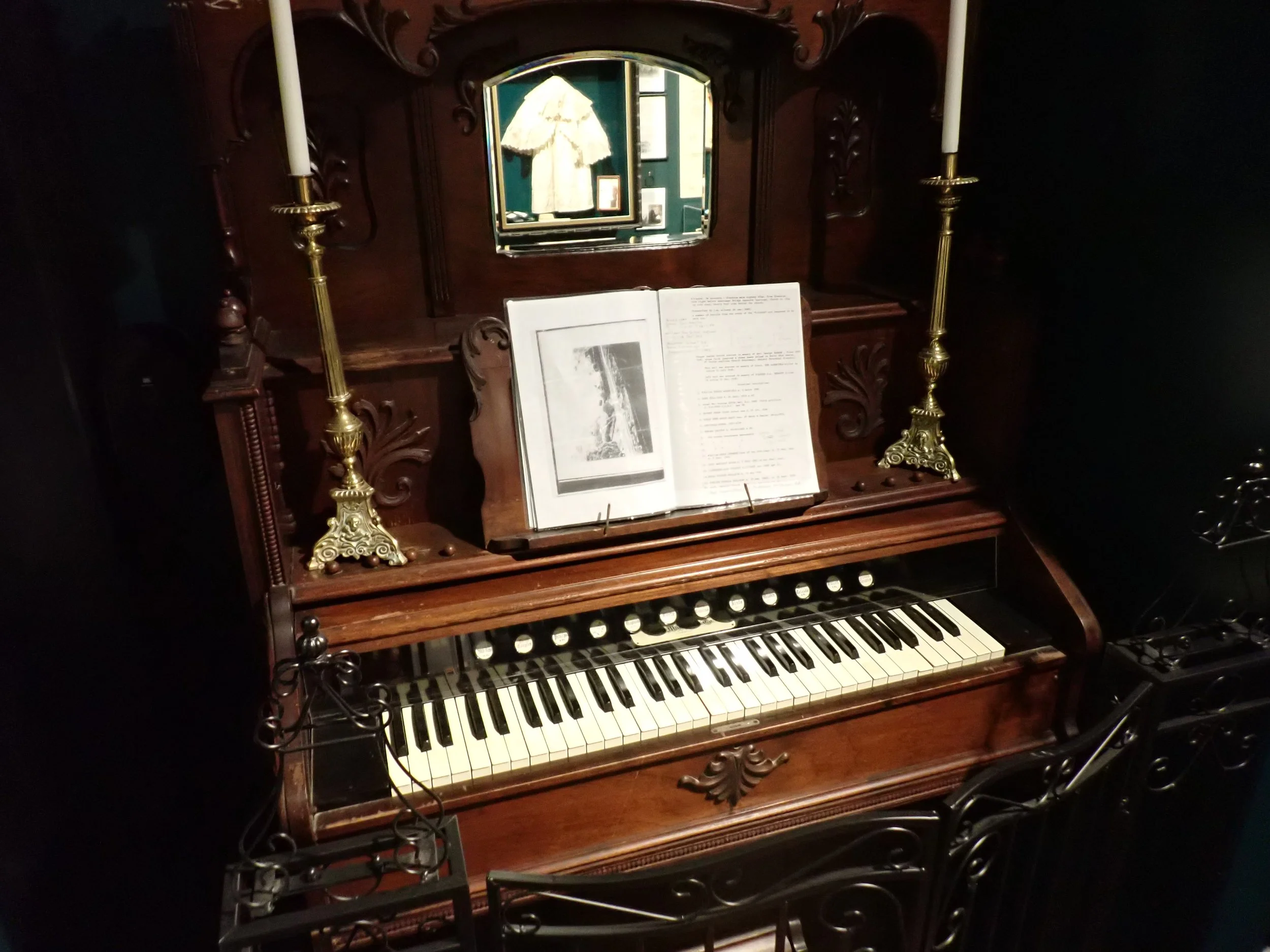 WREN0265.JPG