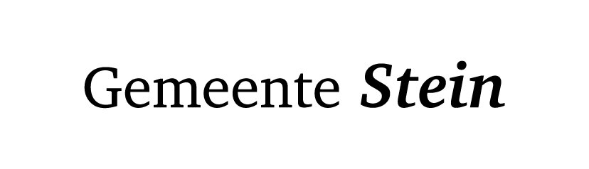 Gemeente Stein logo 2017 ZWART.jpg