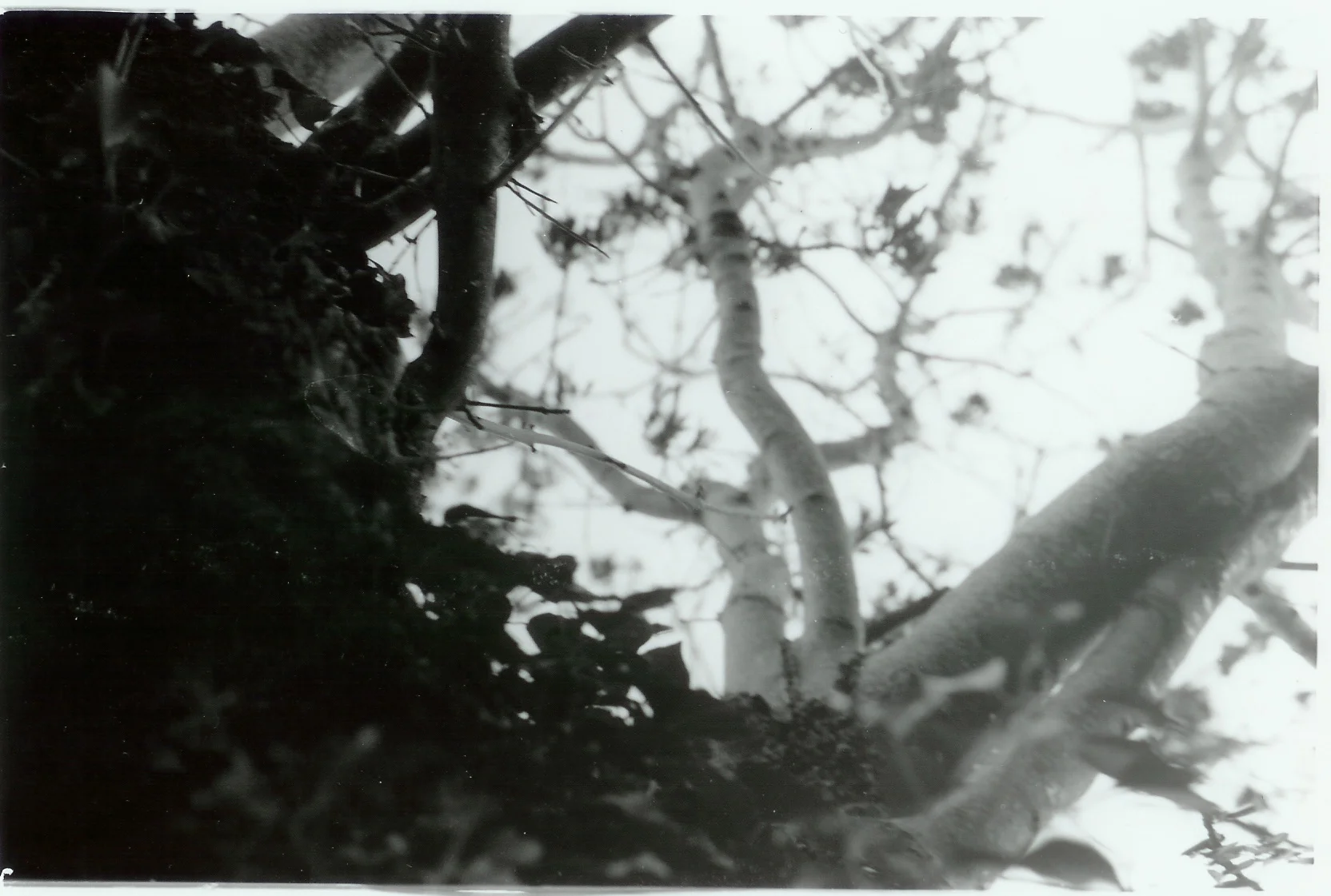 scan0001.jpg