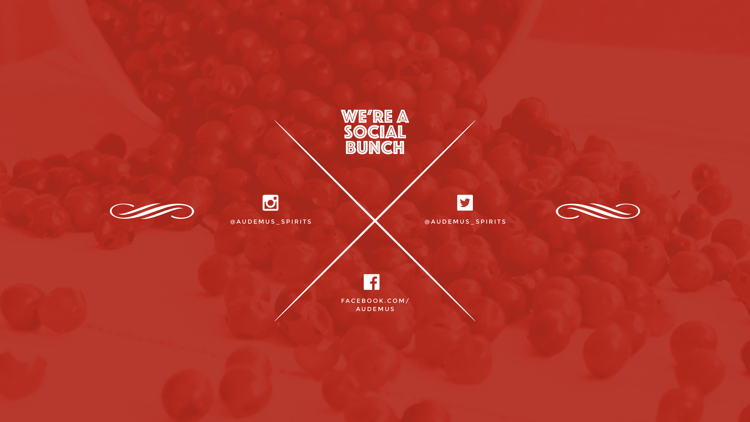 Pink Pepper_29Sept15_Page_5.jpg