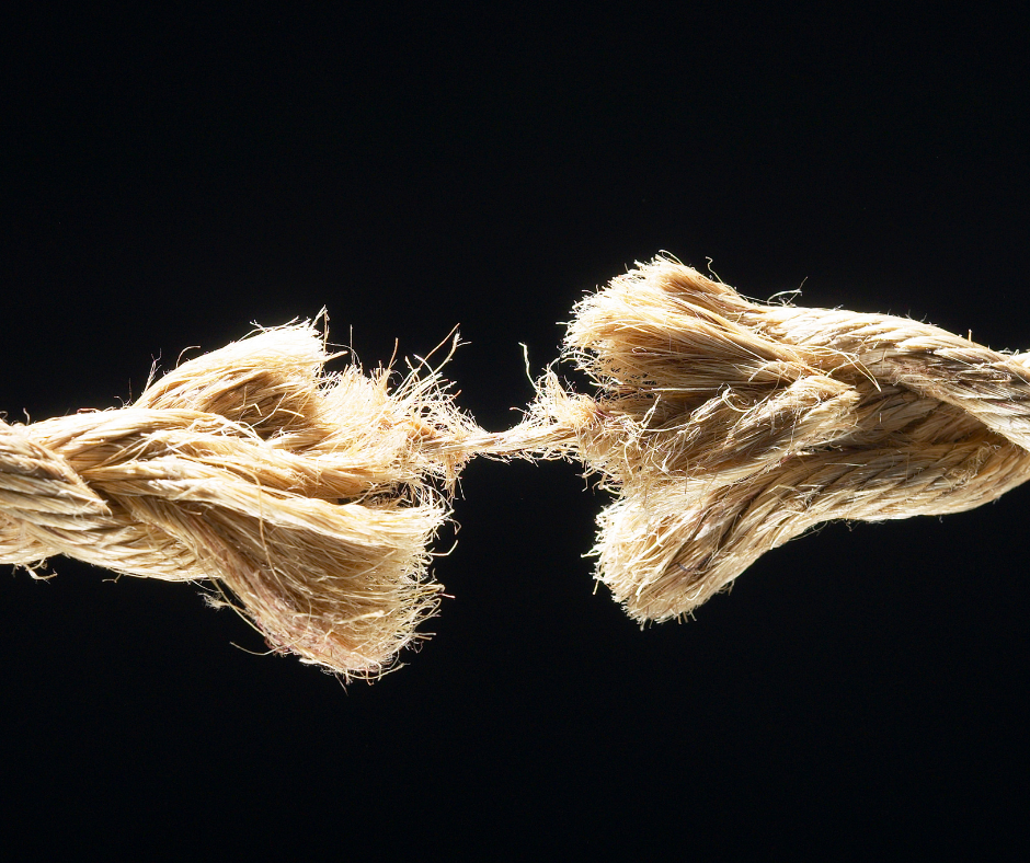 Don't be Afraid to Expose Your Weaknesses