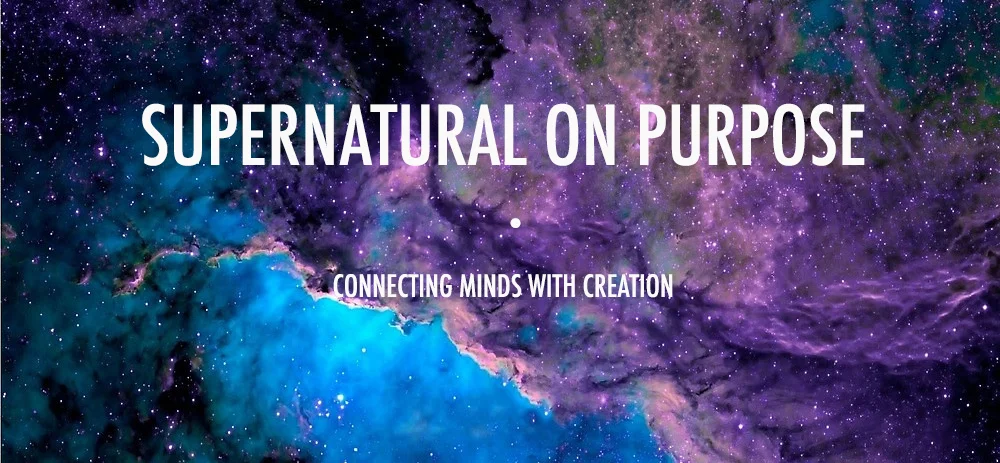 Supernatural On Purpose 