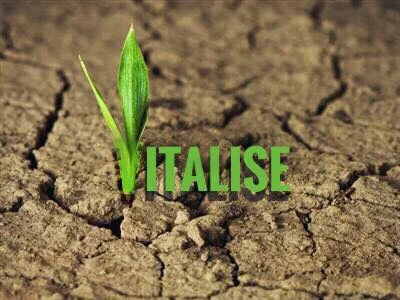 VITALISE