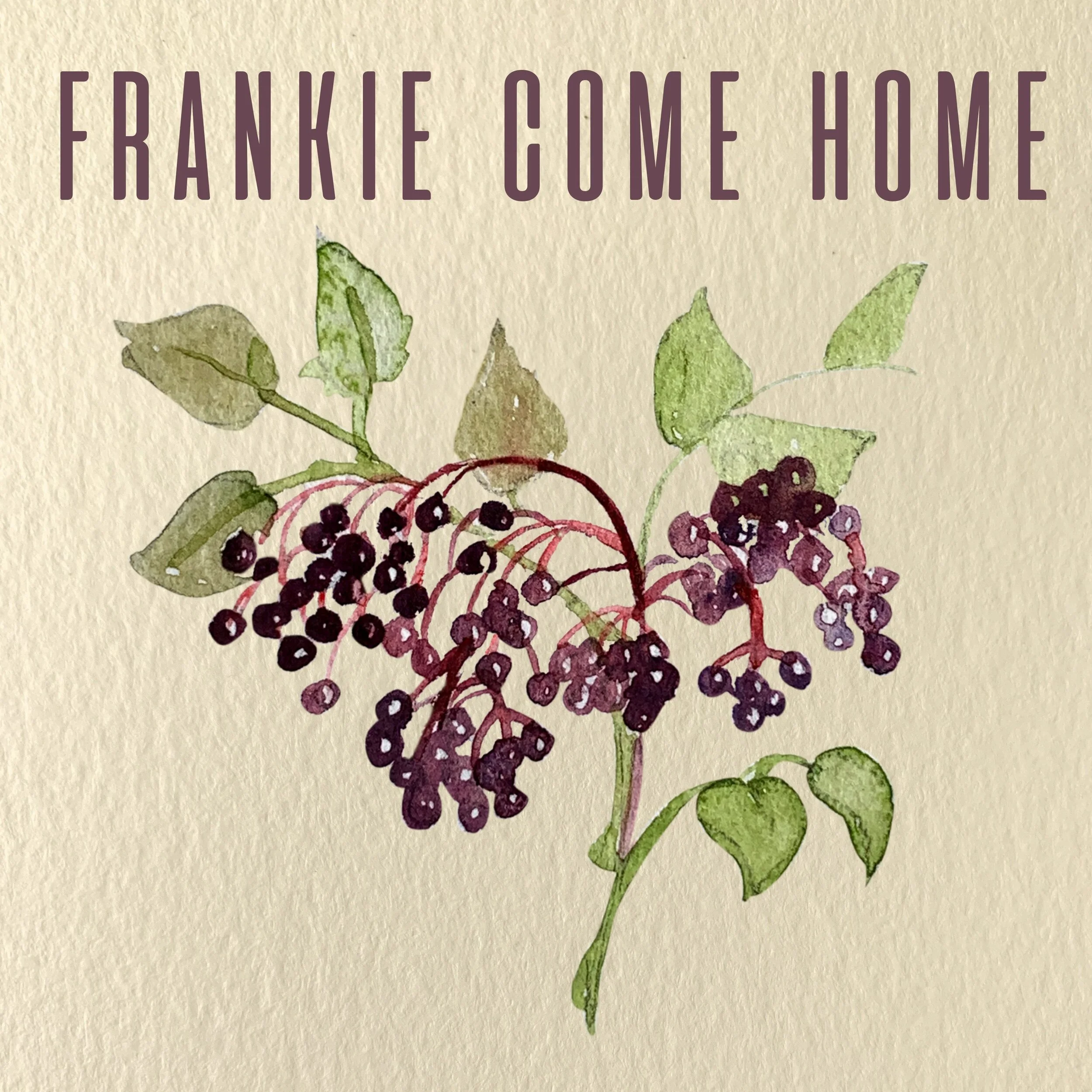 Chapter One: Frankie Come Home
