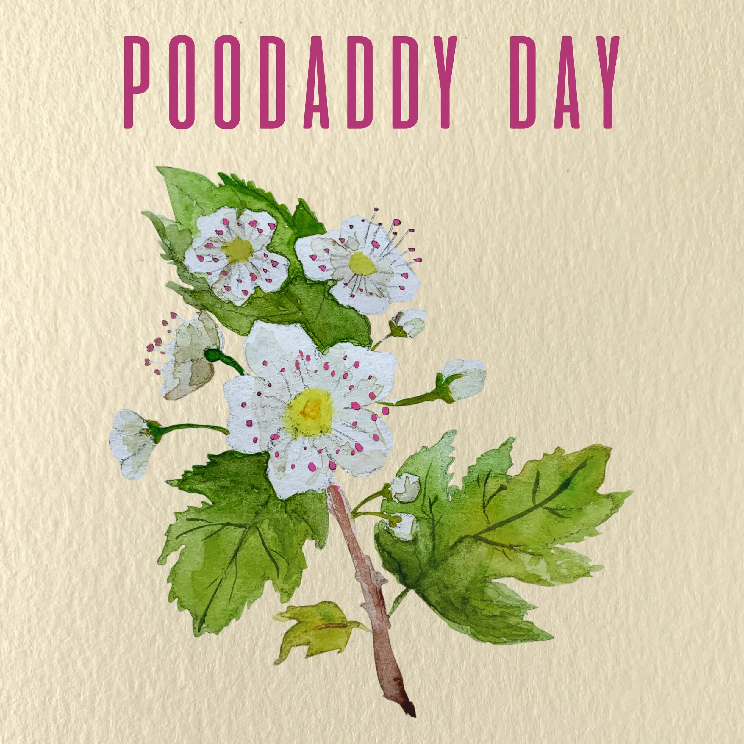 Chapter Three: PooDaddy Day