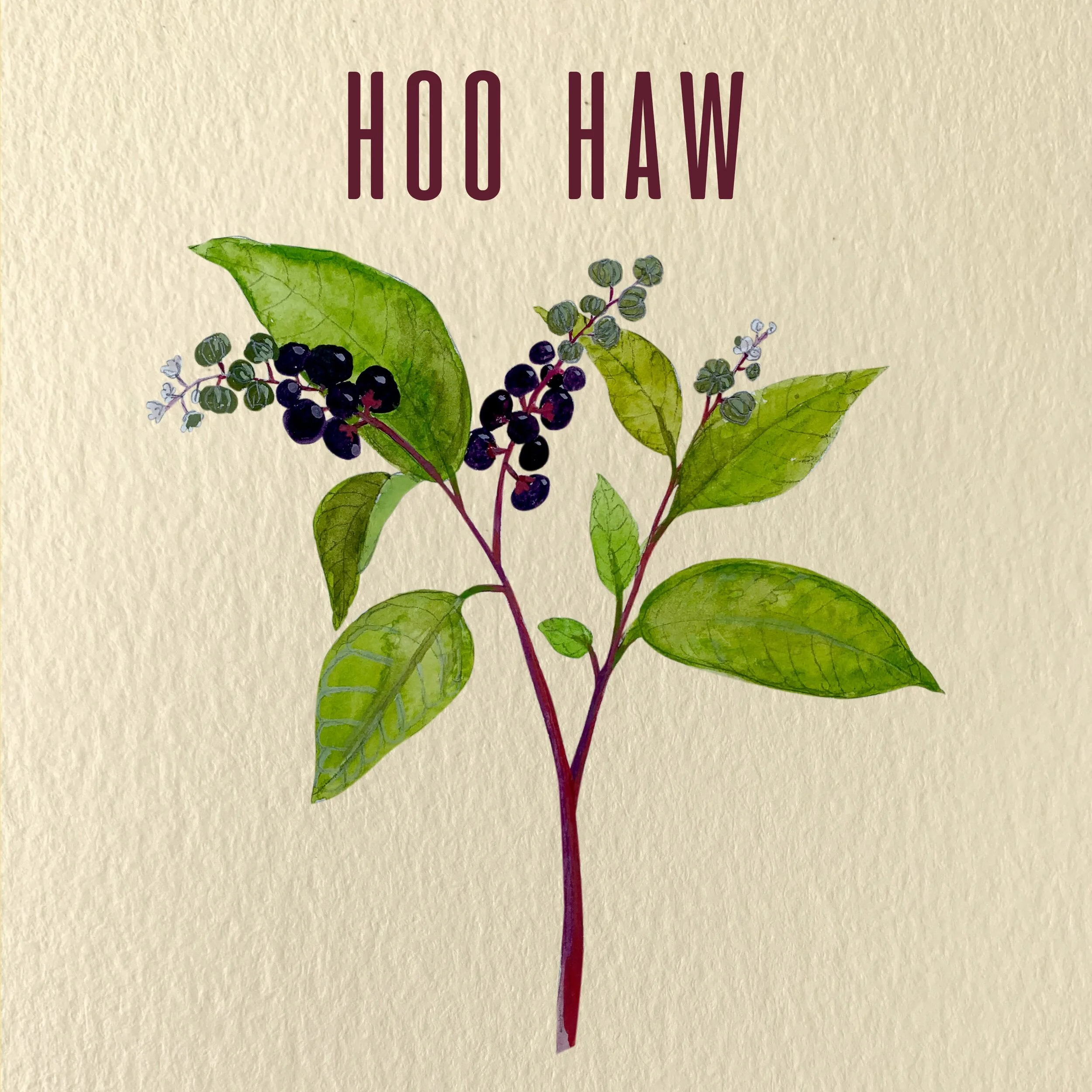 Chapter Five: Hoo Haw