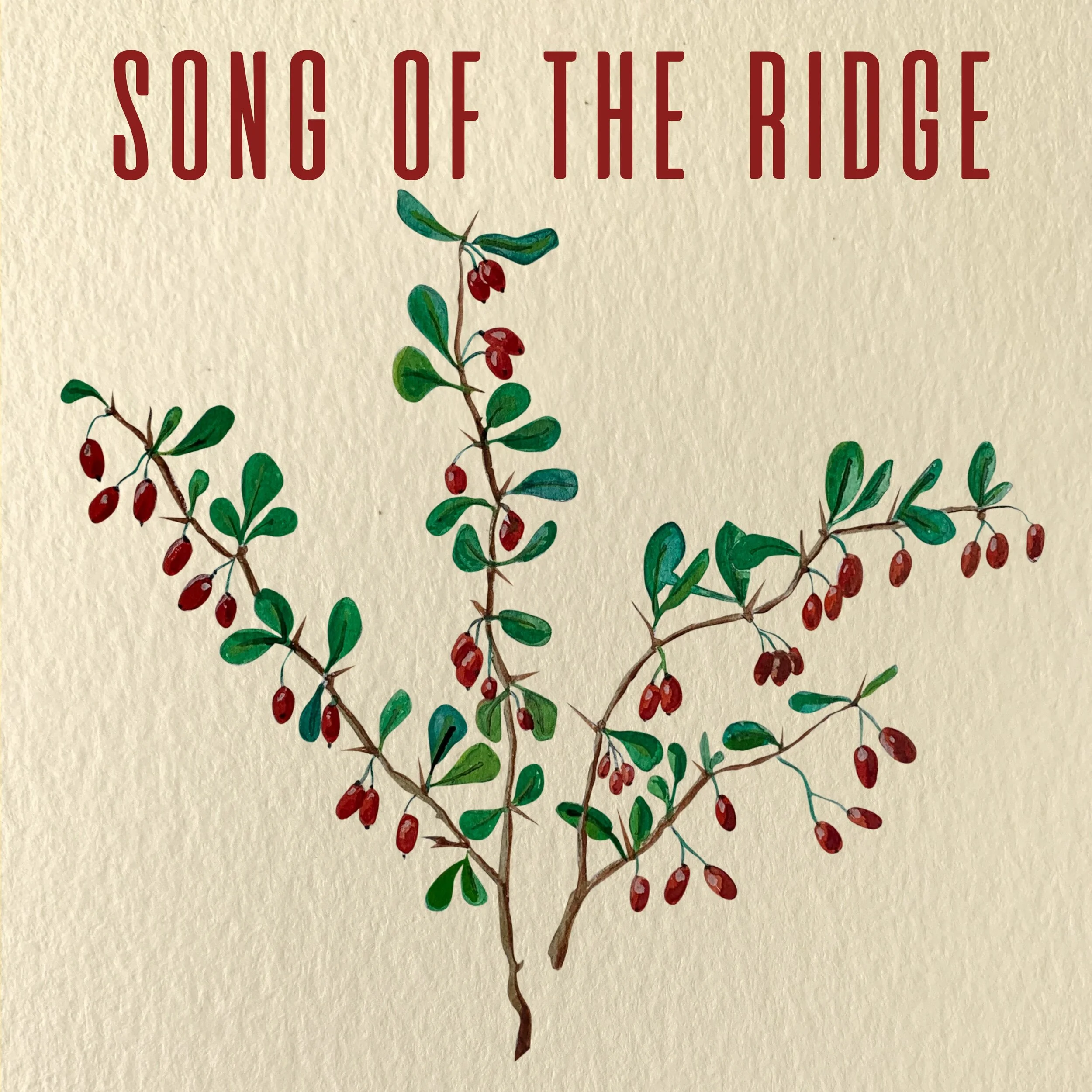 Chapter Seven: Song of the Ridge
