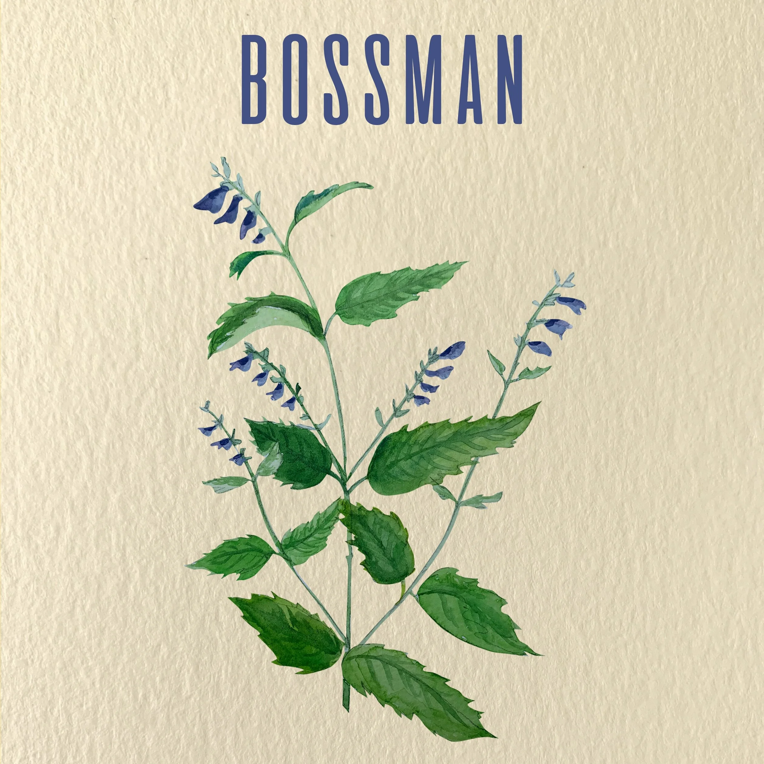 Chapter Nine: Bossman