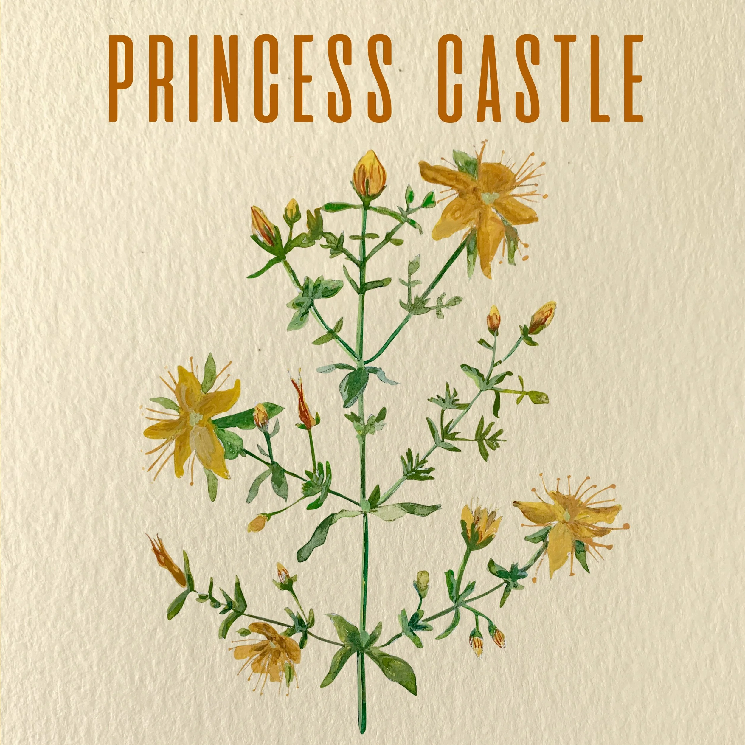 Chapter Ten: Princess Castle 