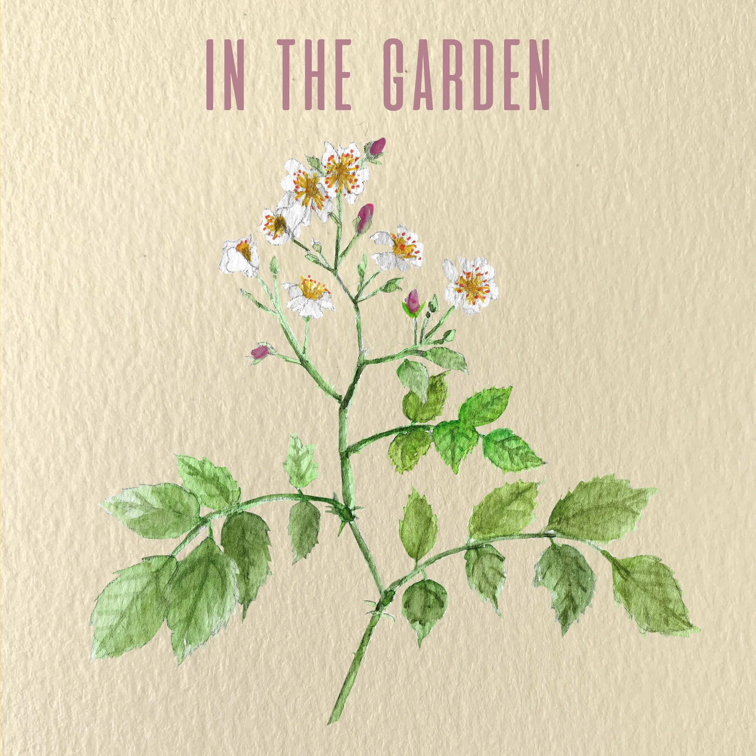 Chapter Twelve: In the Garden