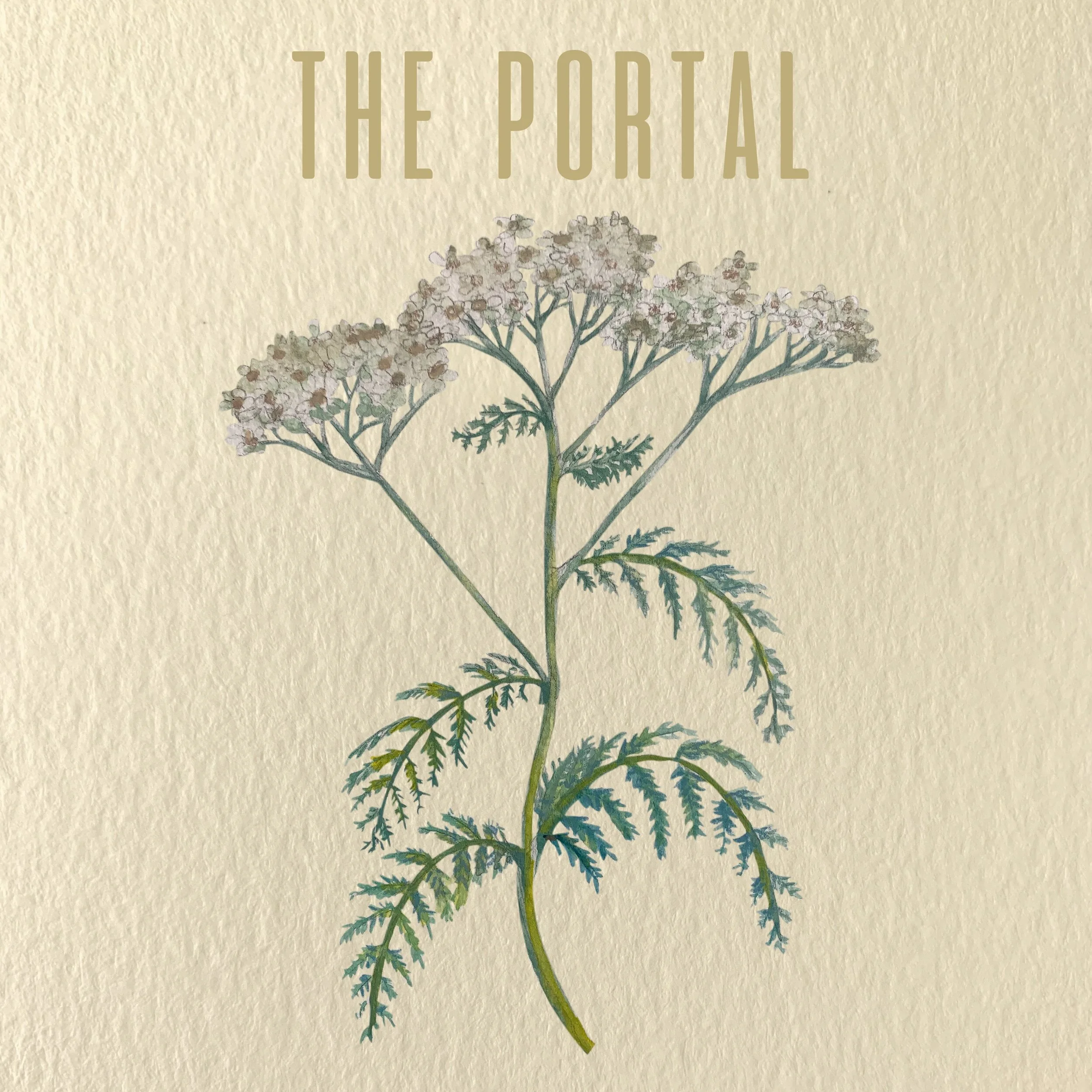 Chapter Fourteen: The Portal