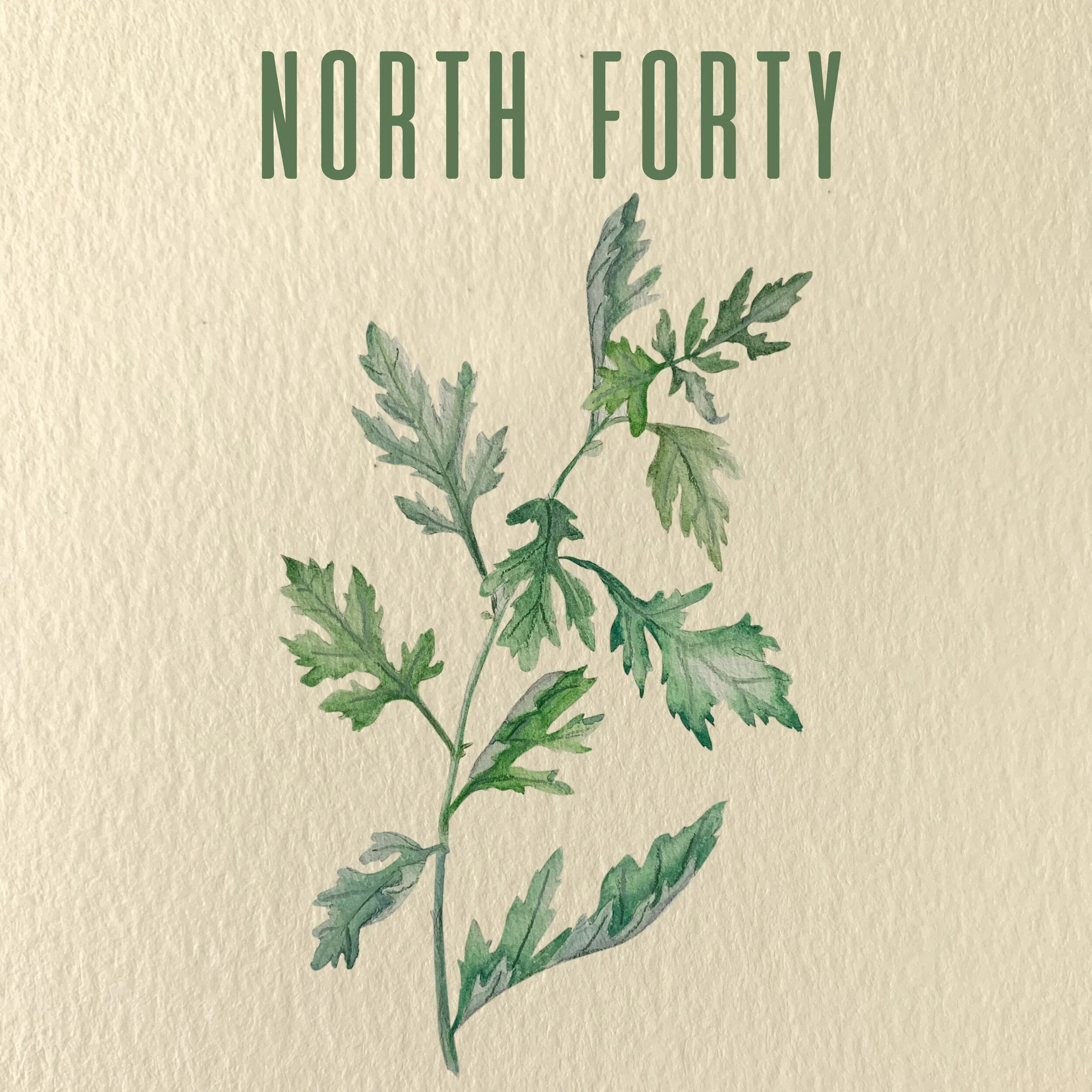 Chapter Fifteen: North Forty