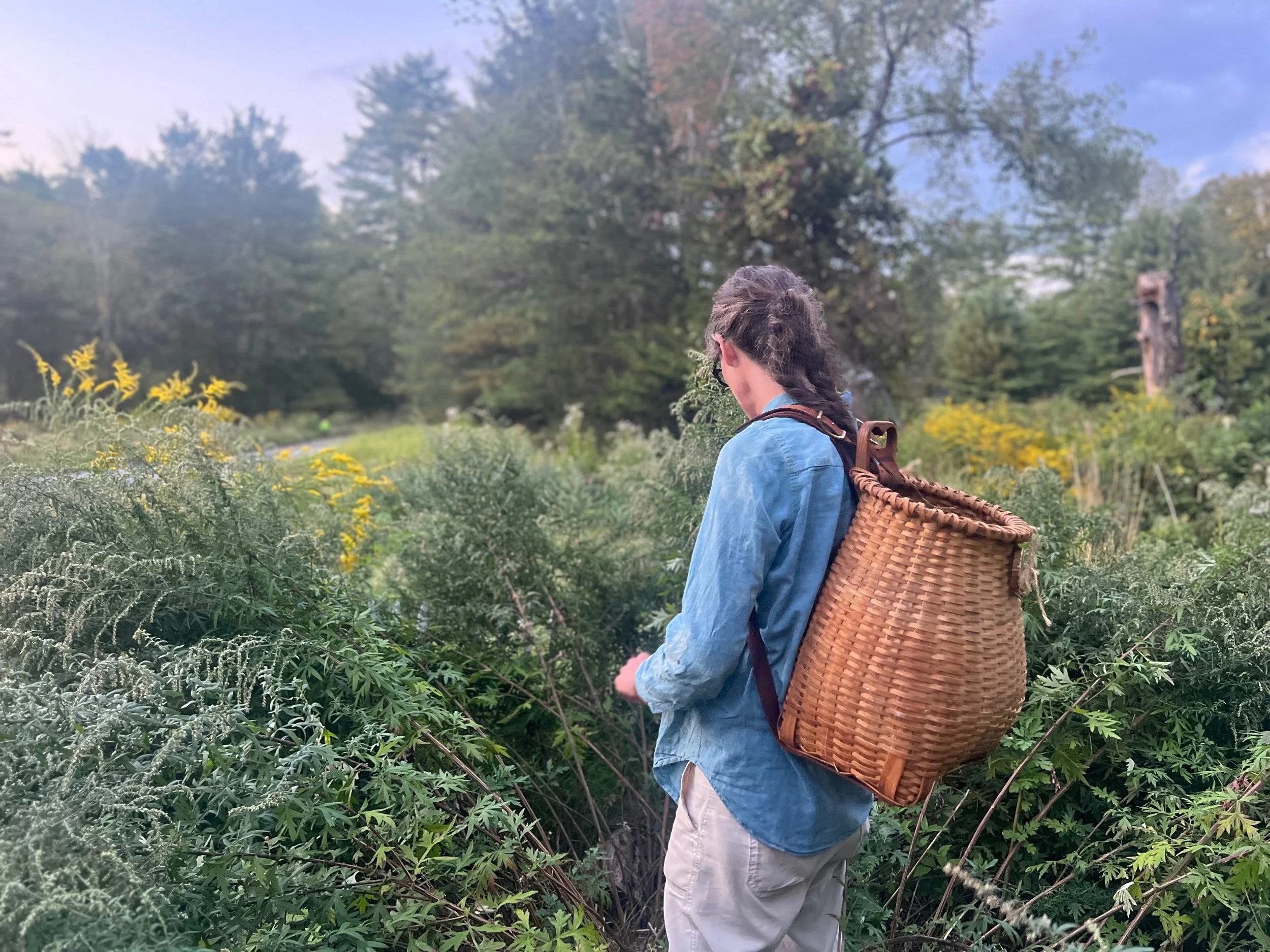 test of the system... system do you work?