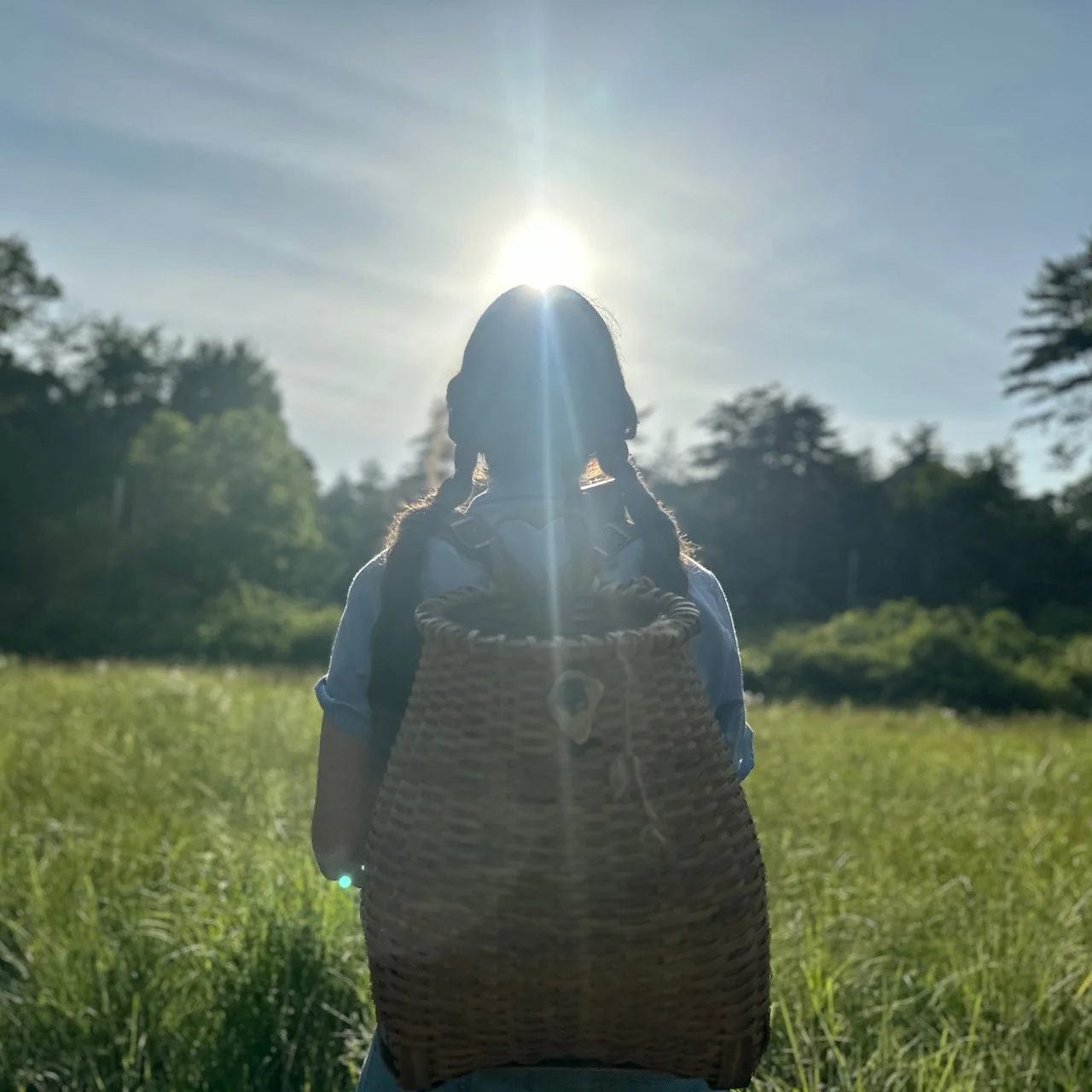 SUMMER SOLSTICE MEDICINE SHOW