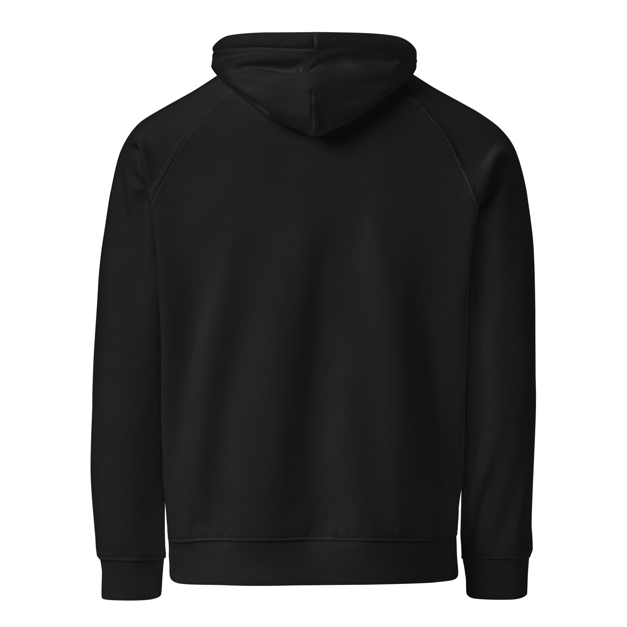 unisex-eco-raglan-hoodie-black-back-697532ef9bcfd.png