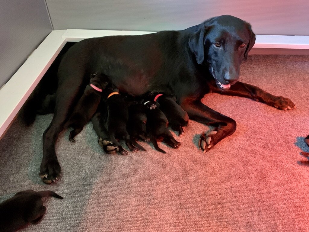 Maxie and kids August 19, 2020