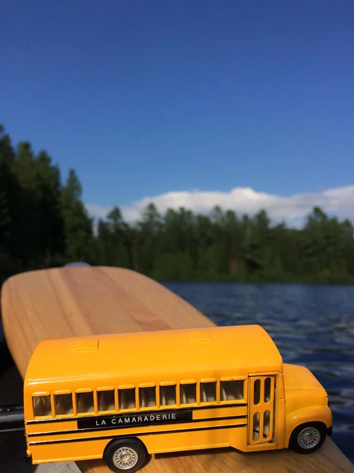 waberfallsbus.jpg