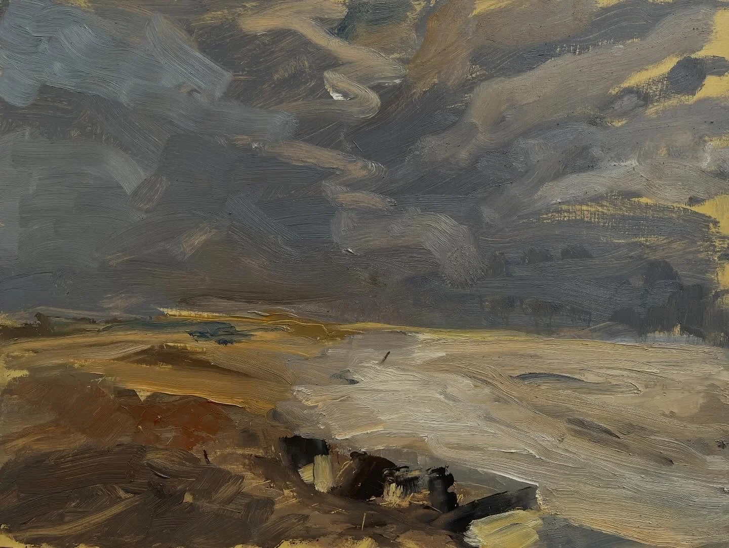 I&rsquo;m delighted to have just heard the news that this painting has been selected by the Royal Society of British artists for their finalists&rsquo; exhibition at the Mall Galleries in london in February. 

It won the rural Landscape award at Cca 