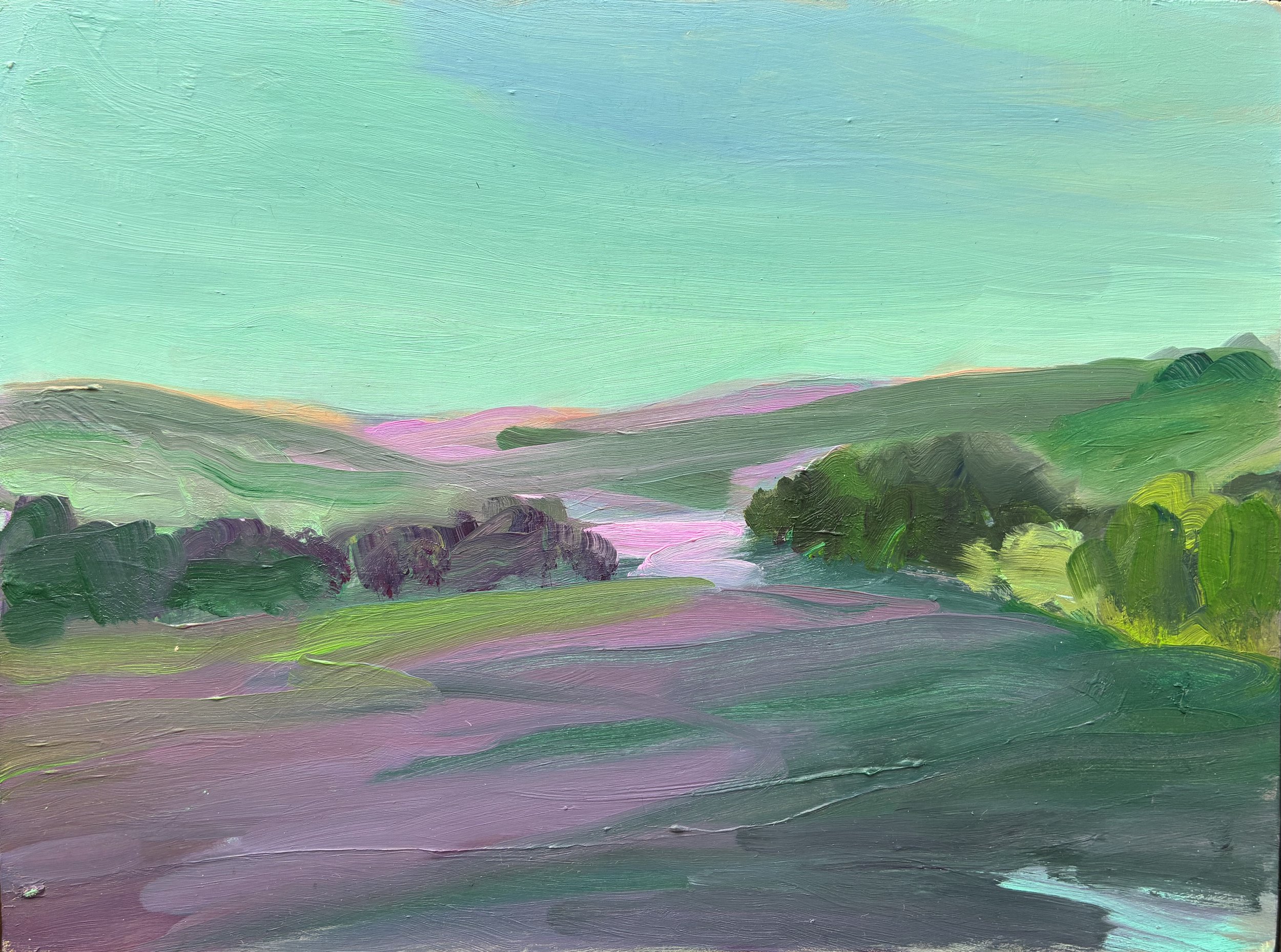 Roake Field.  Spring. 
