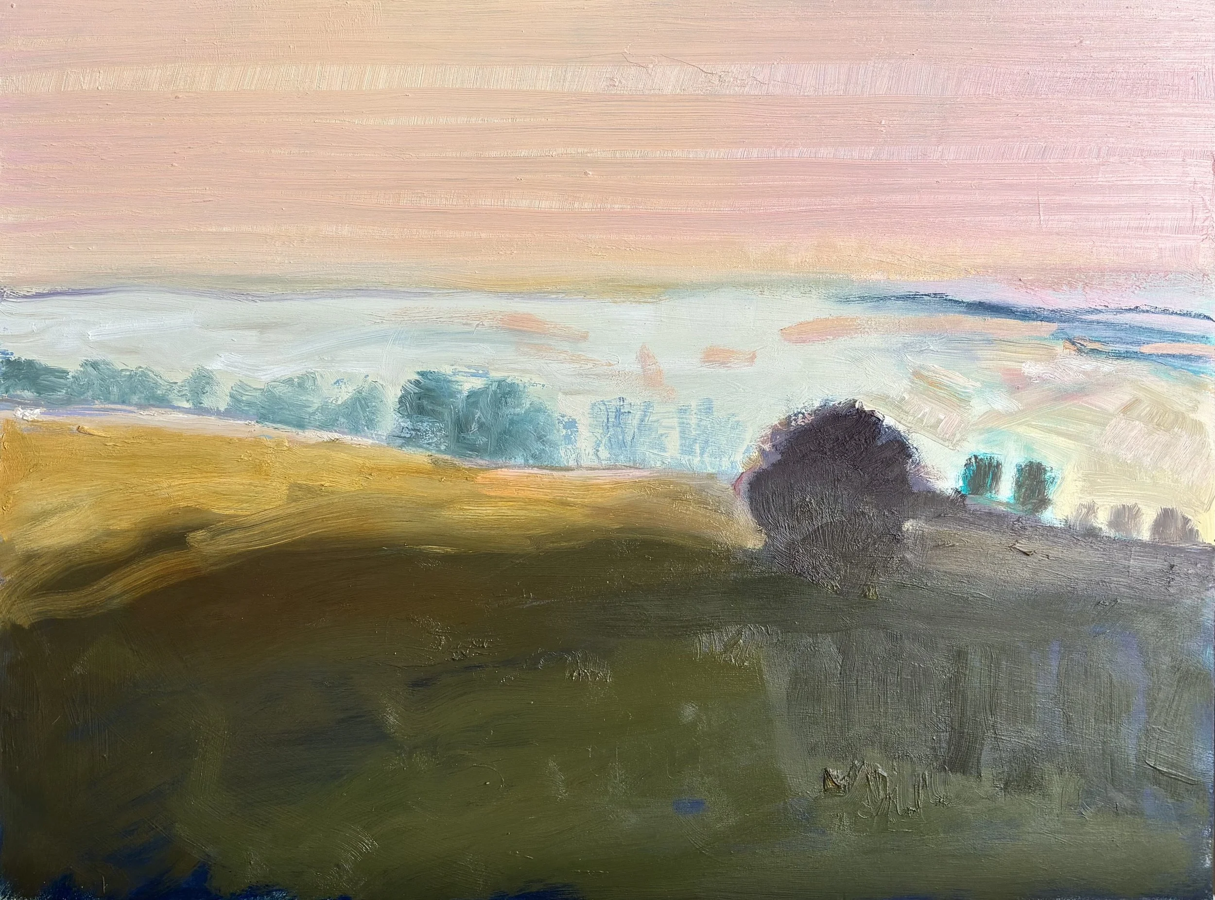 Looking Towards Claverton Down.  Foggy Morning.