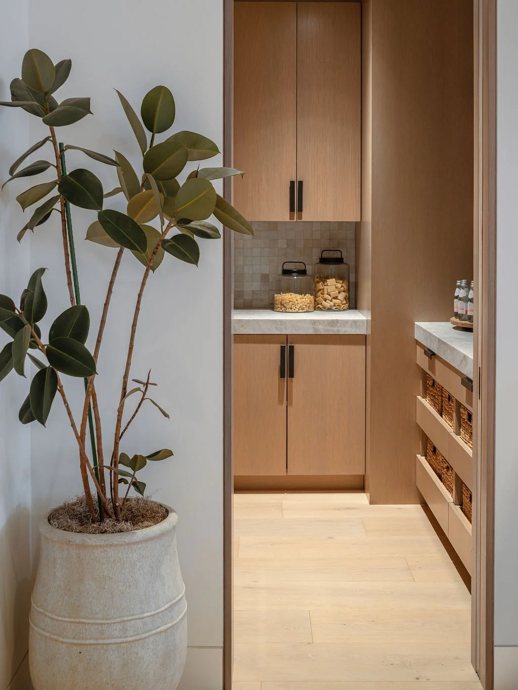 Pantry area with large plant