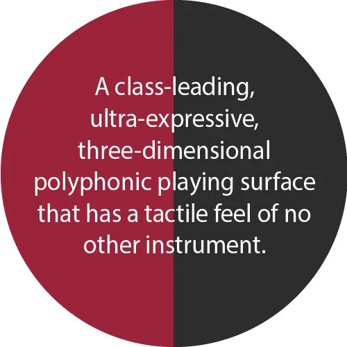 Haken-Benafits-playing-surface-.jpg