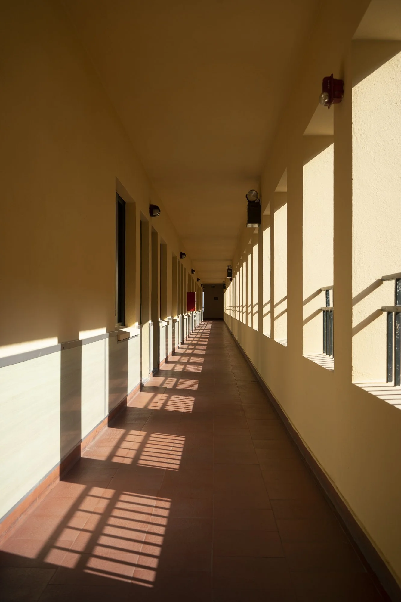 peters_20200815_00030.JPG