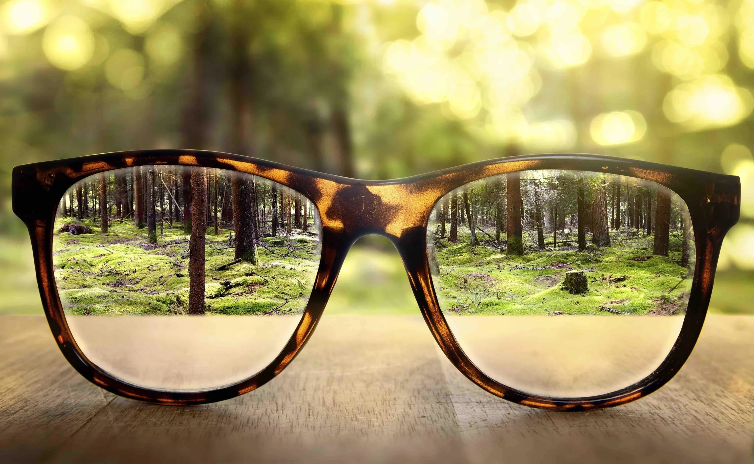 A variety of low-cost options where you can get a taste and a fresh lens on Wellbeing.