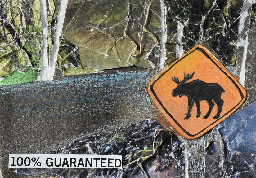 moose.jpg