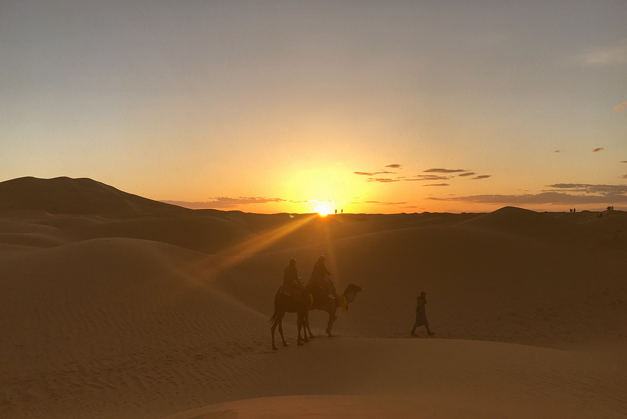 camel3.jpg