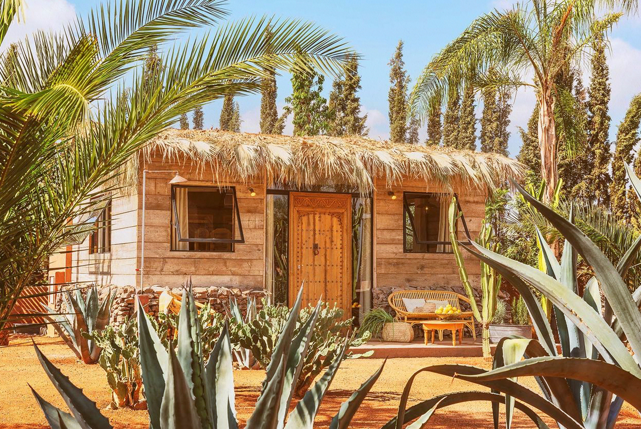 solsahara6.jpg