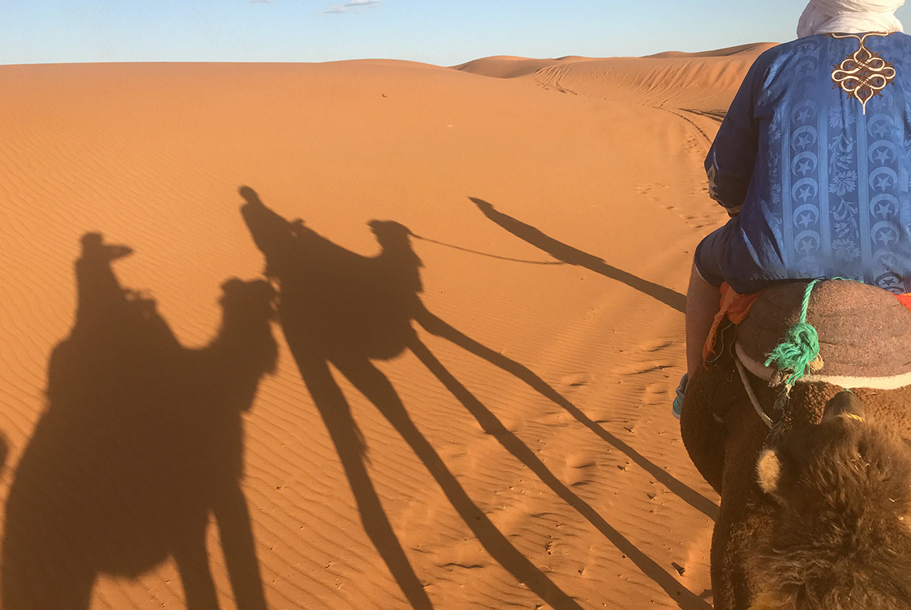 solsahara31.jpg