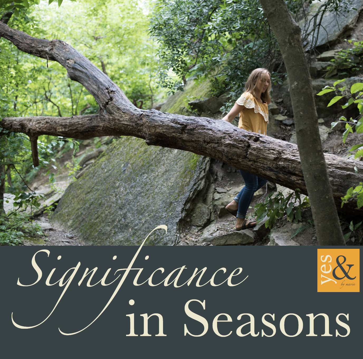 {60} Powerful Season Metaphors