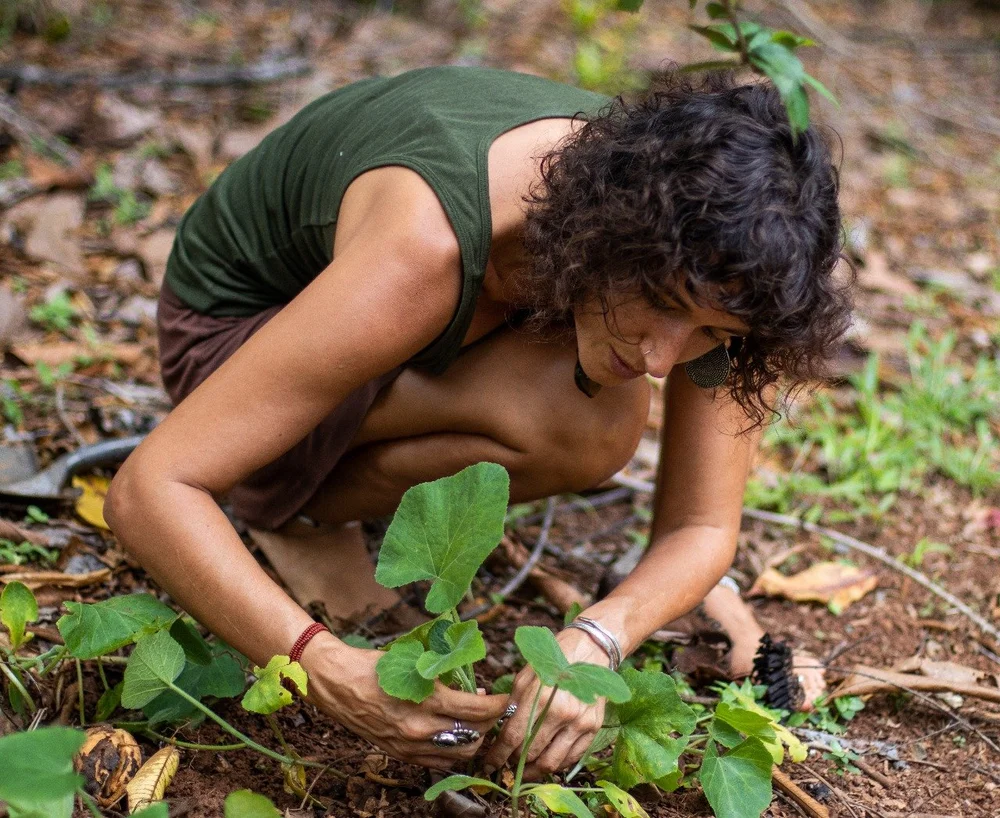 Nature Based Emcha Ecotherapy and Nature Based Healing — Selva Healing Therapies