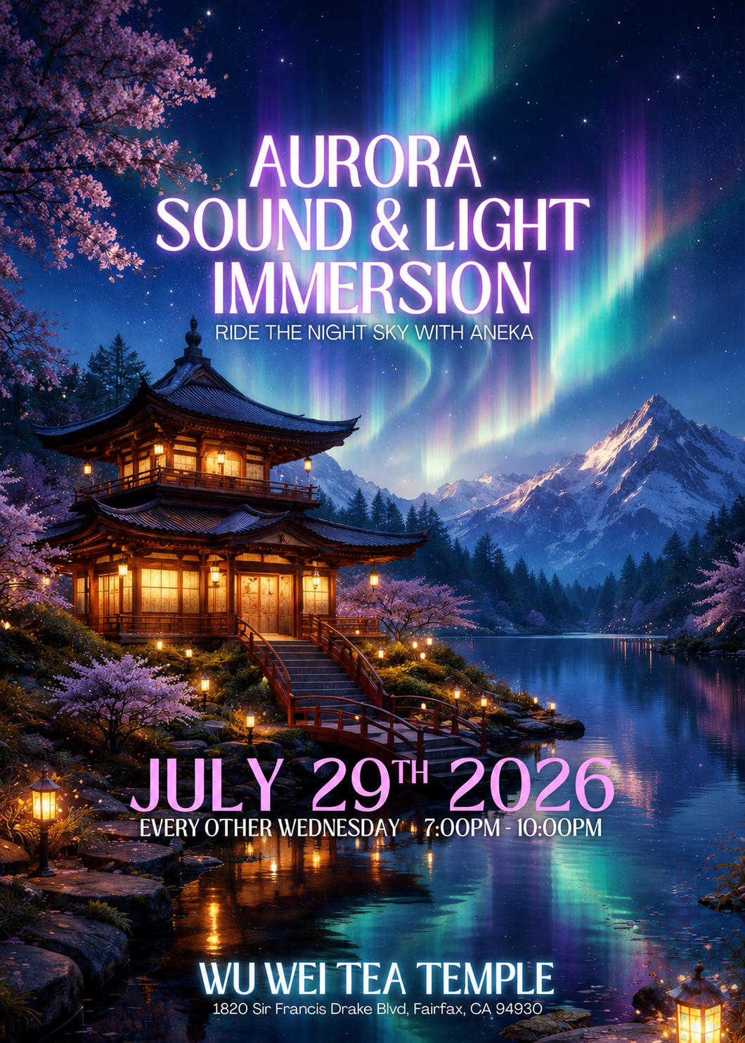 Aurora Sound &amp; Light Immersion  