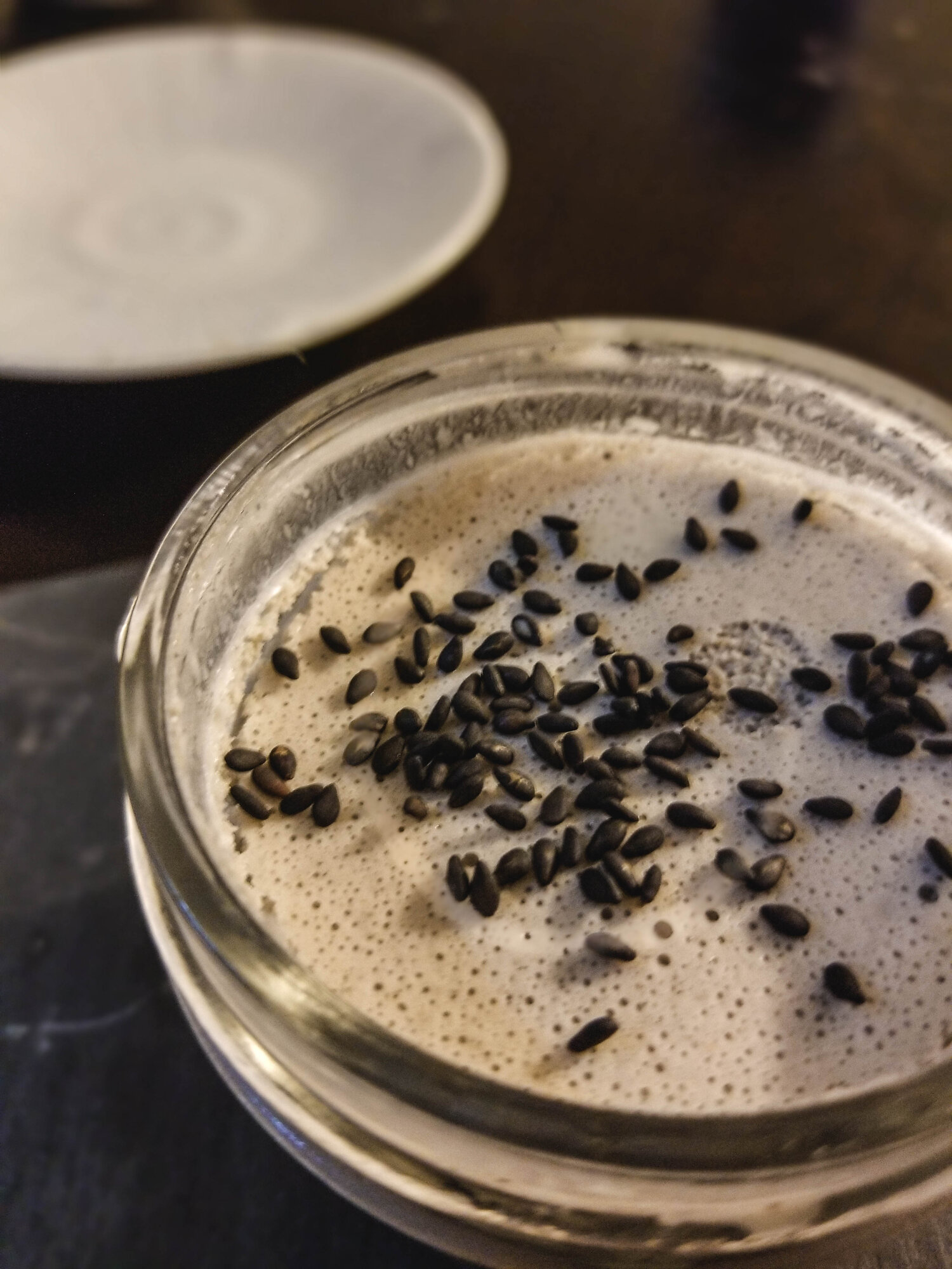 BLACK SESAME VEGAN MILKSHAKE