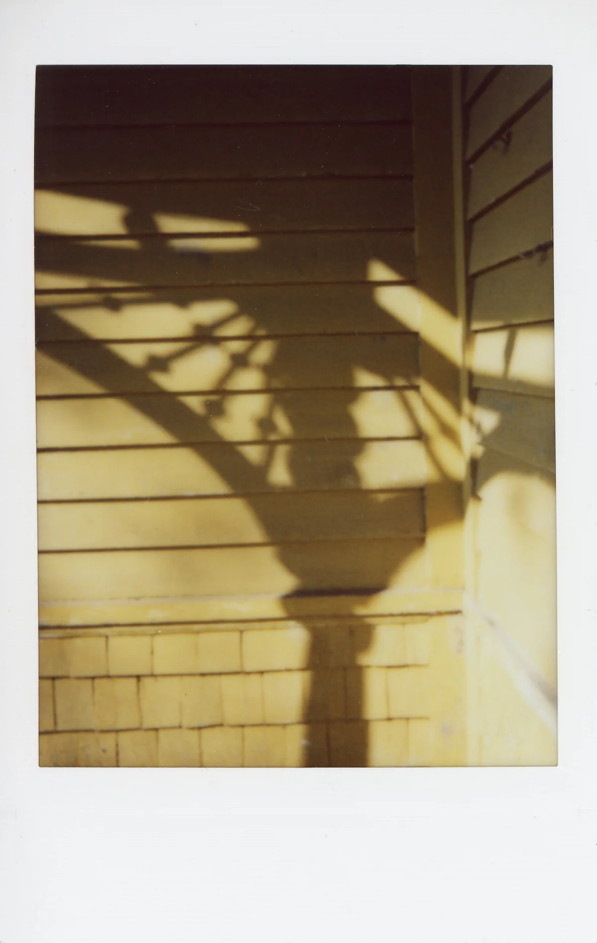 Center St. #1